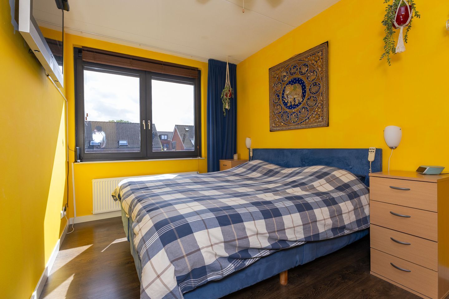 Foto 29 van Scholekster 9