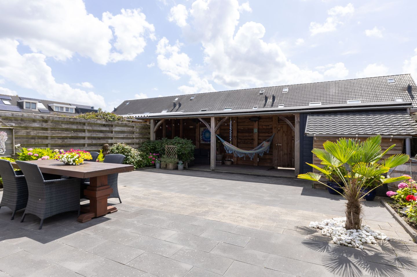 Foto 5 van Scholekster 9