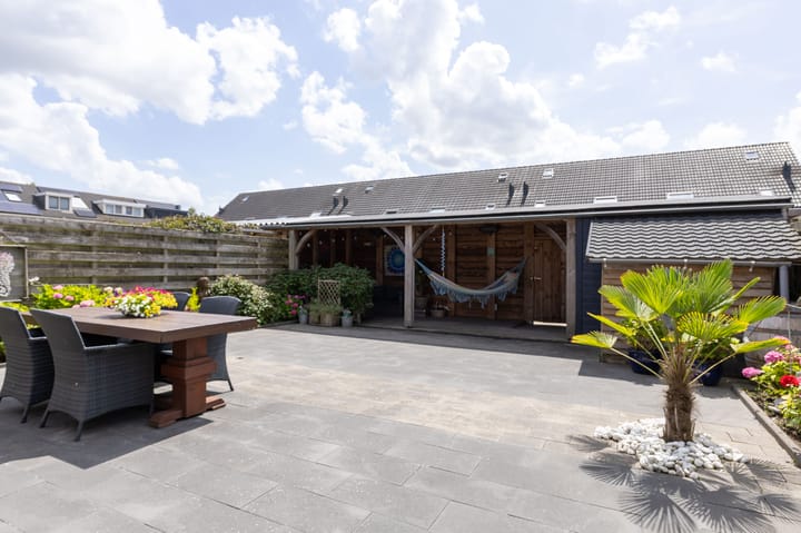 Foto 5 van Scholekster 9