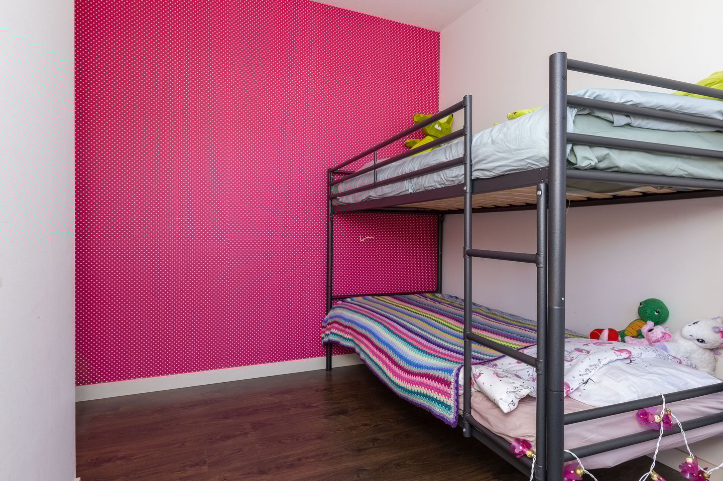 Foto 34 van Scholekster 9