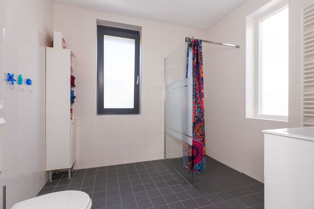 Foto 37 van Scholekster 9