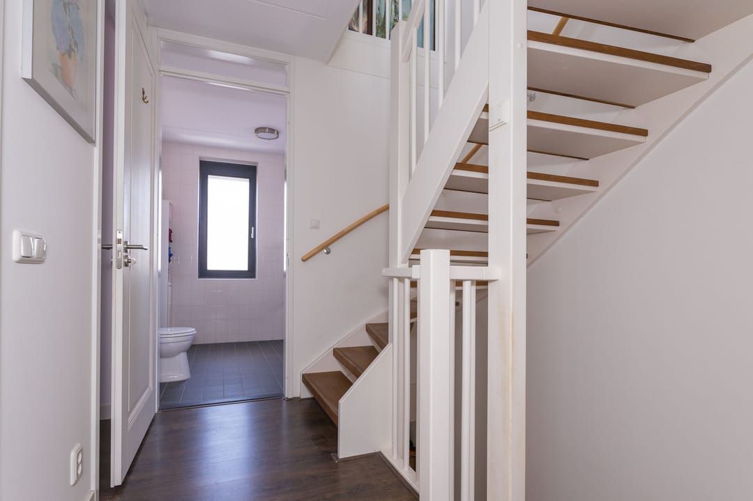 Foto 38 van Scholekster 9