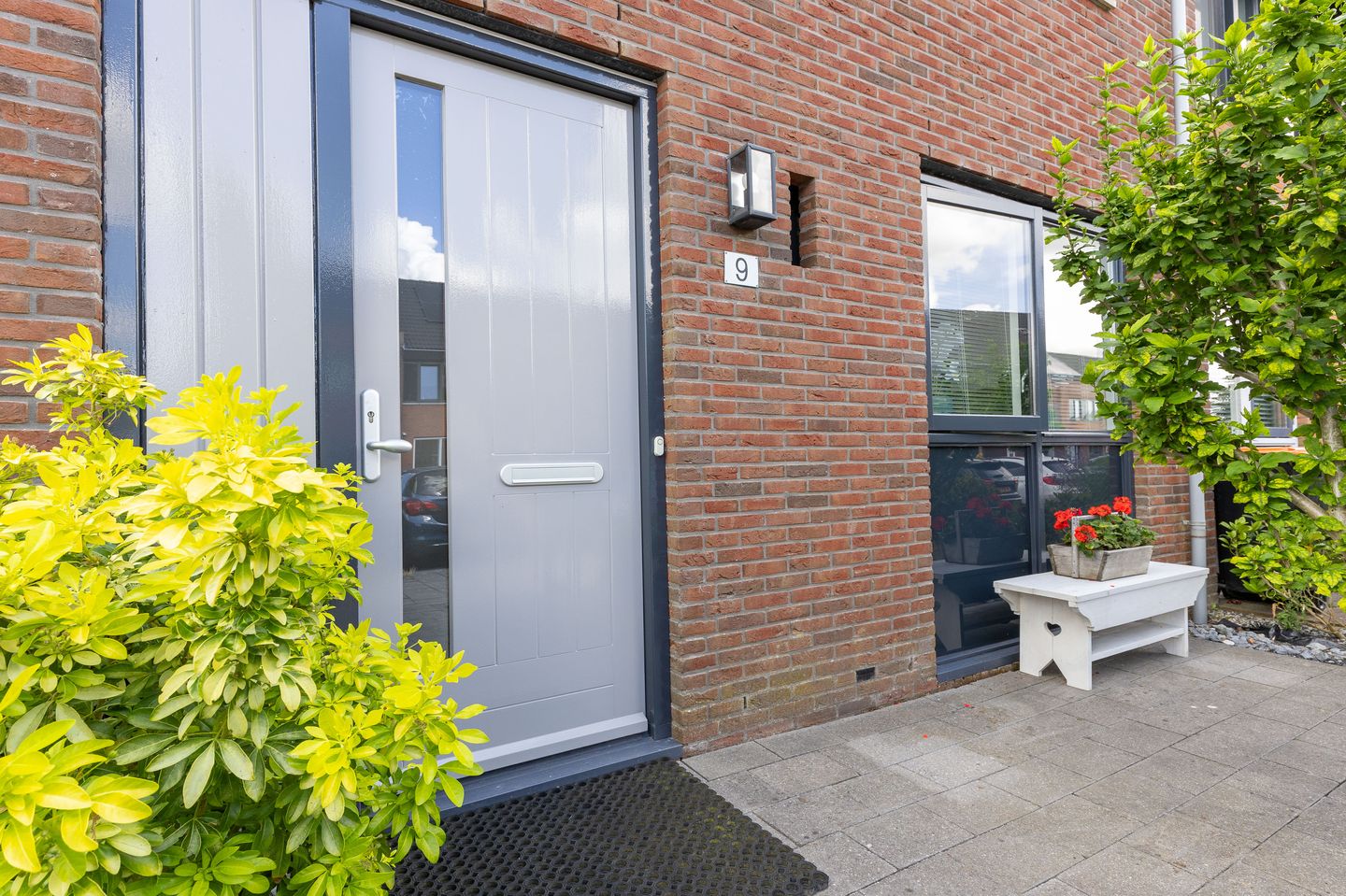 Foto 44 van Scholekster 9