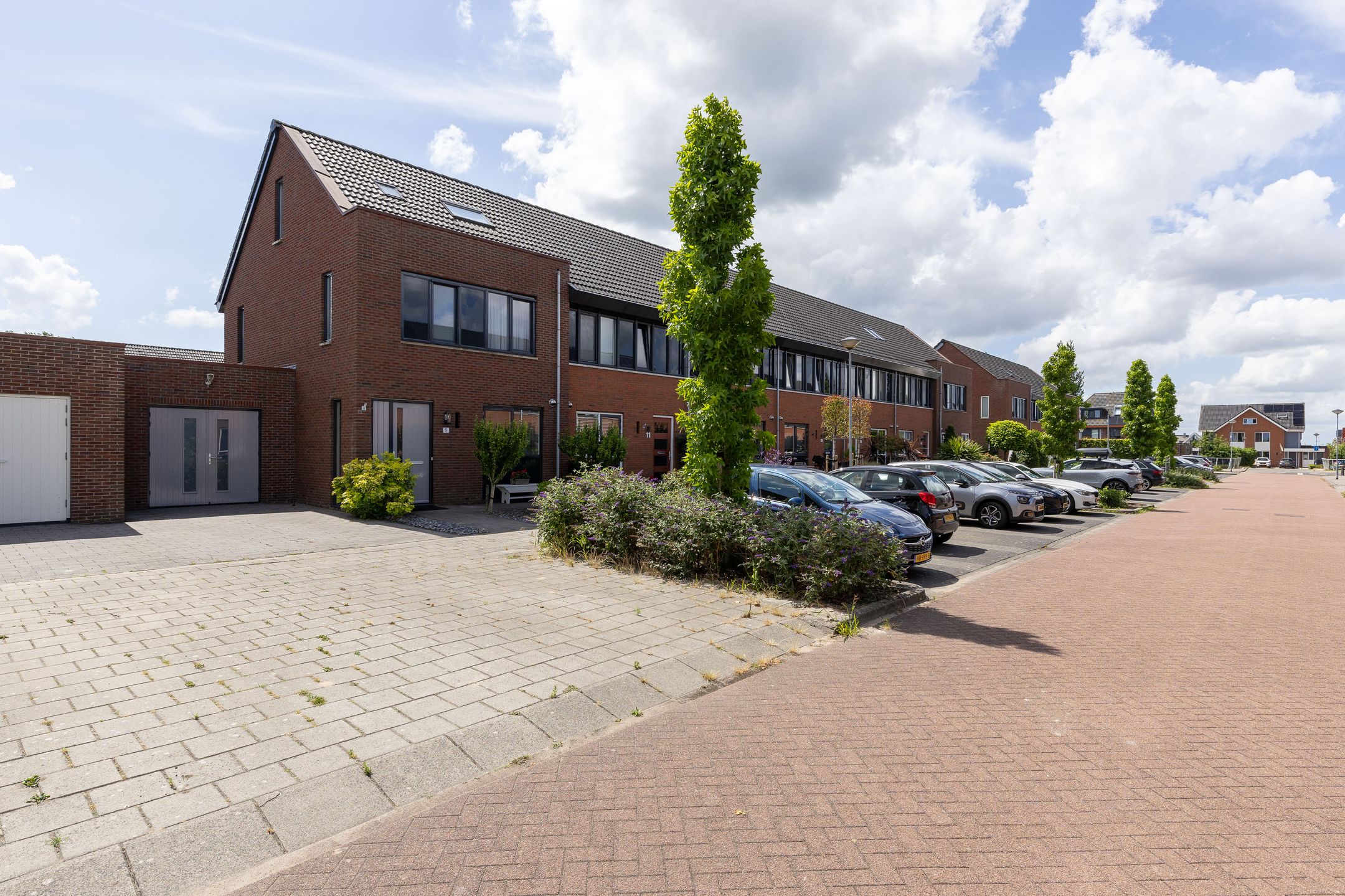 Foto 45 van Scholekster 9