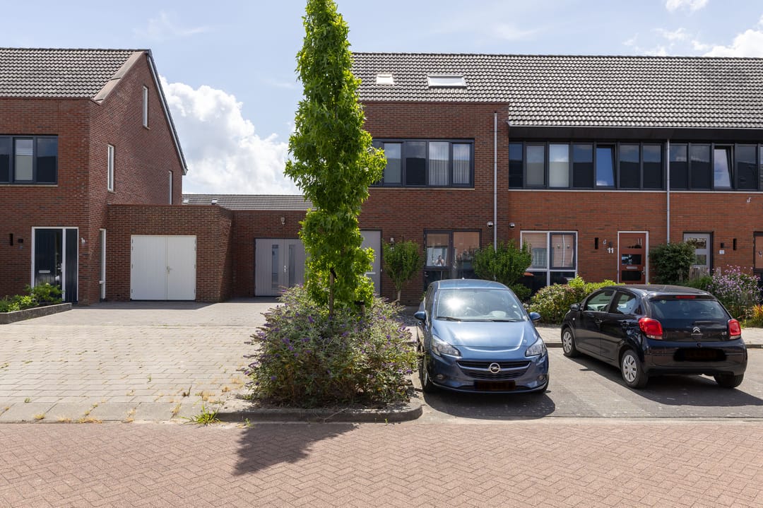 Foto 46 van Scholekster 9