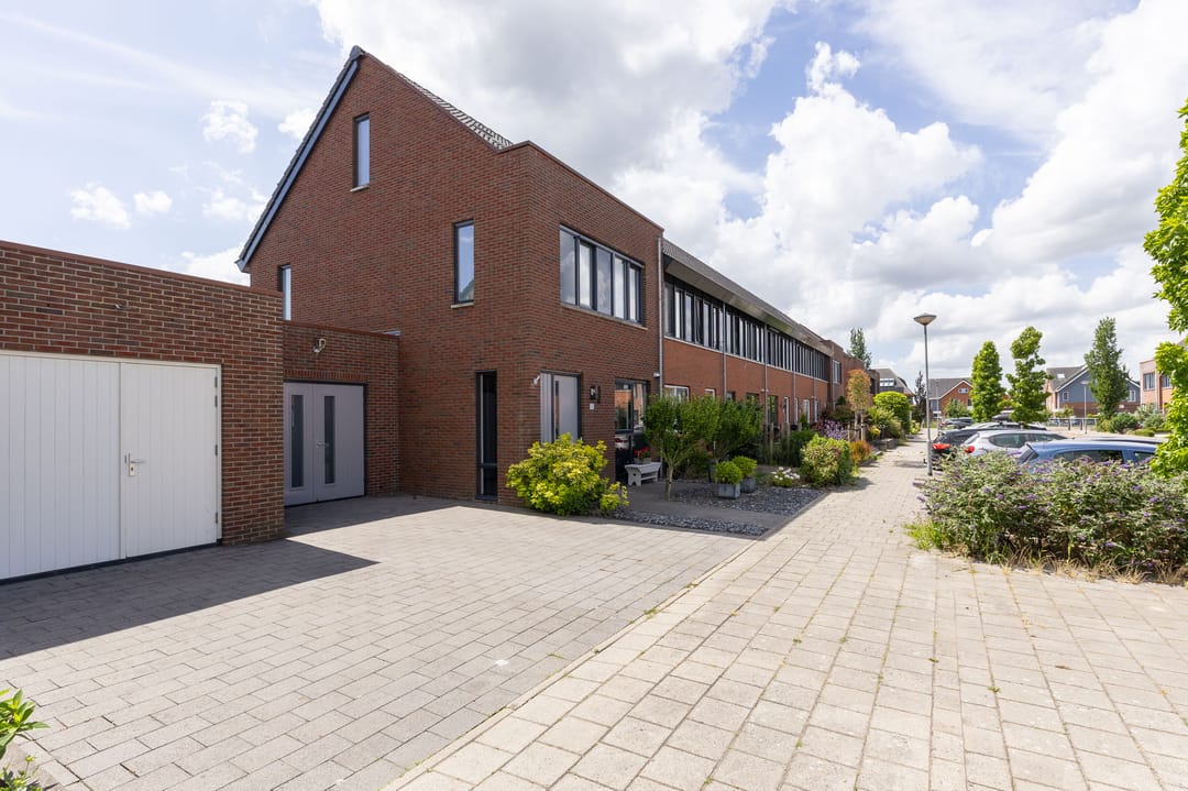 Foto 47 van Scholekster 9