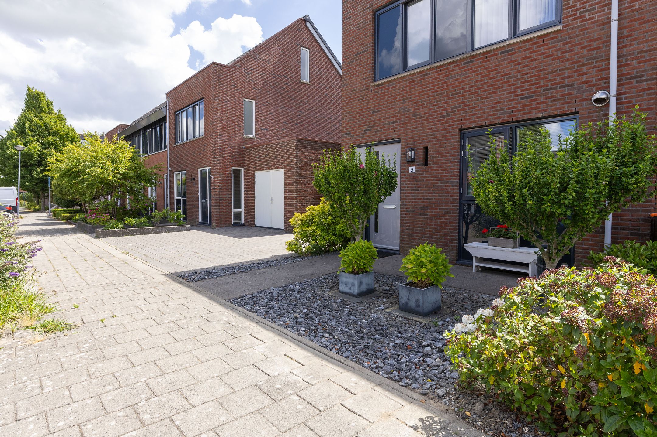 Foto 48 van Scholekster 9