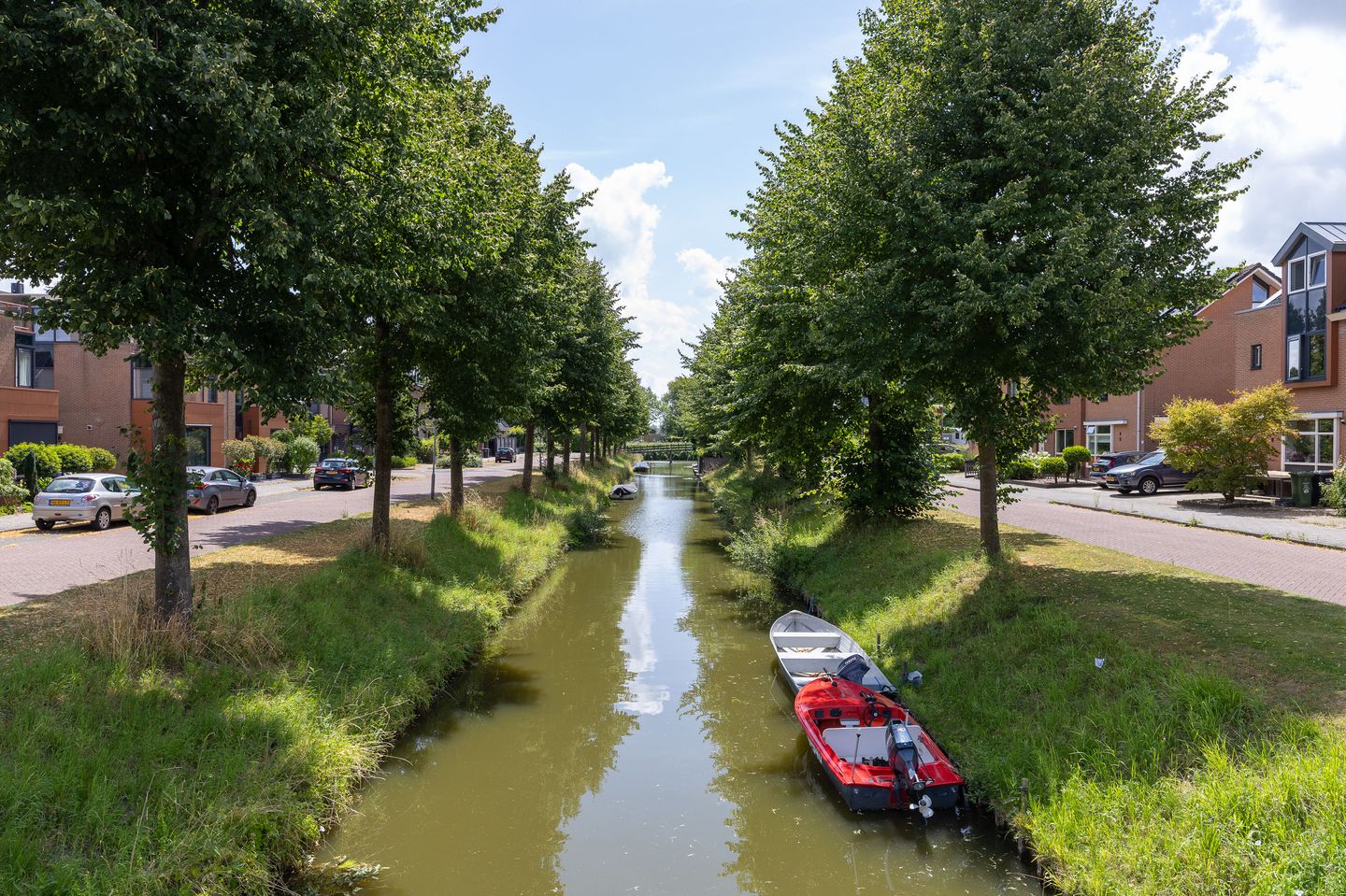 Foto 49 van Scholekster 9