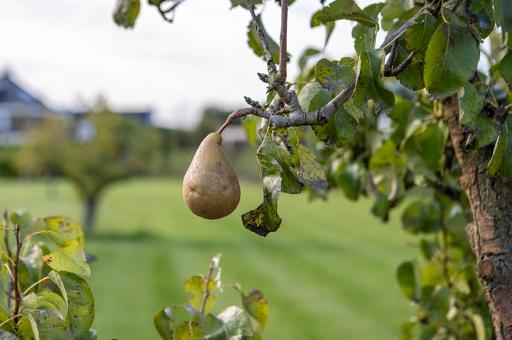 Foto 52 van Landgoedallee 26