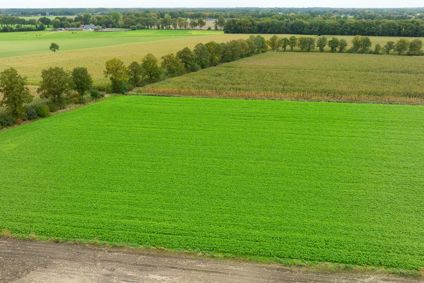 Foto 44 van Heideweg 3