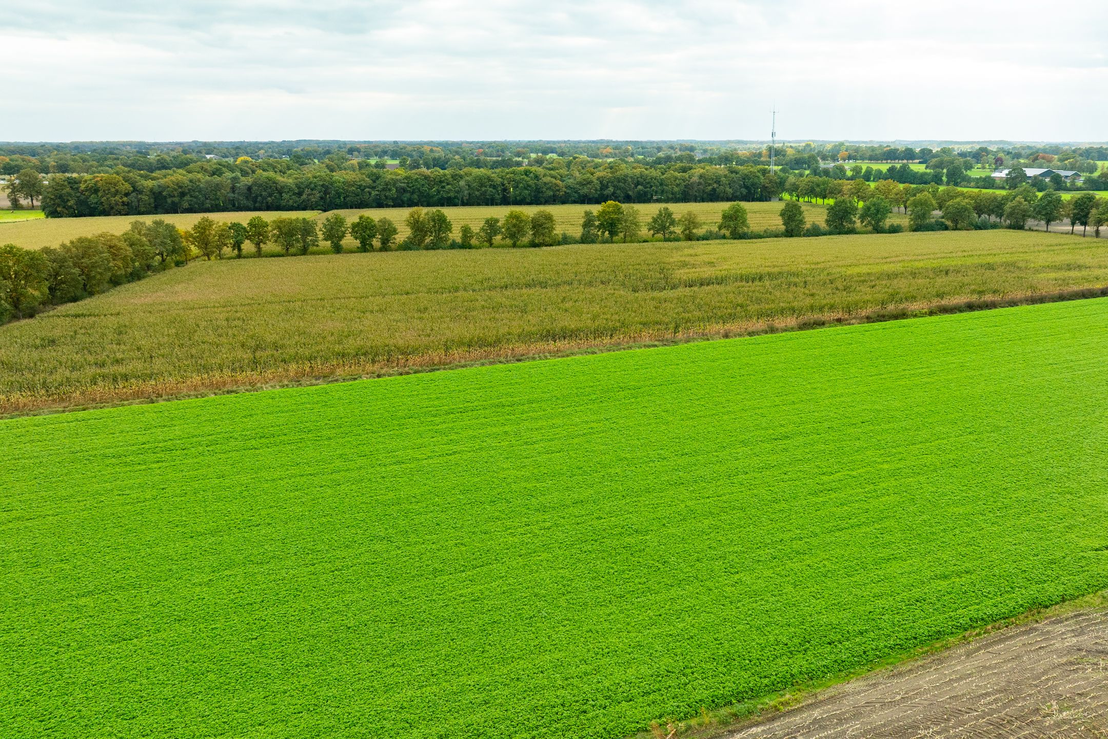 Foto 45 van Heideweg 3