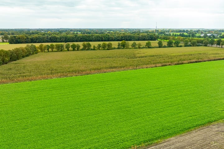 Foto 45 van Heideweg 3