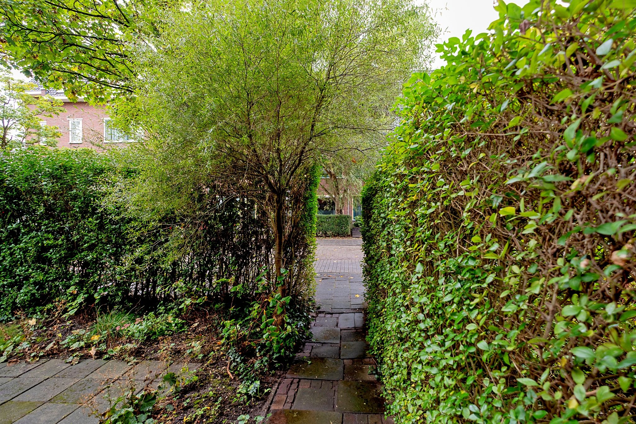 Foto 3 van Celebesstraat 1