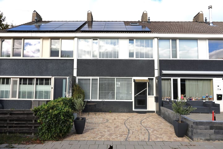 Foto 1 van Gossepalen 60