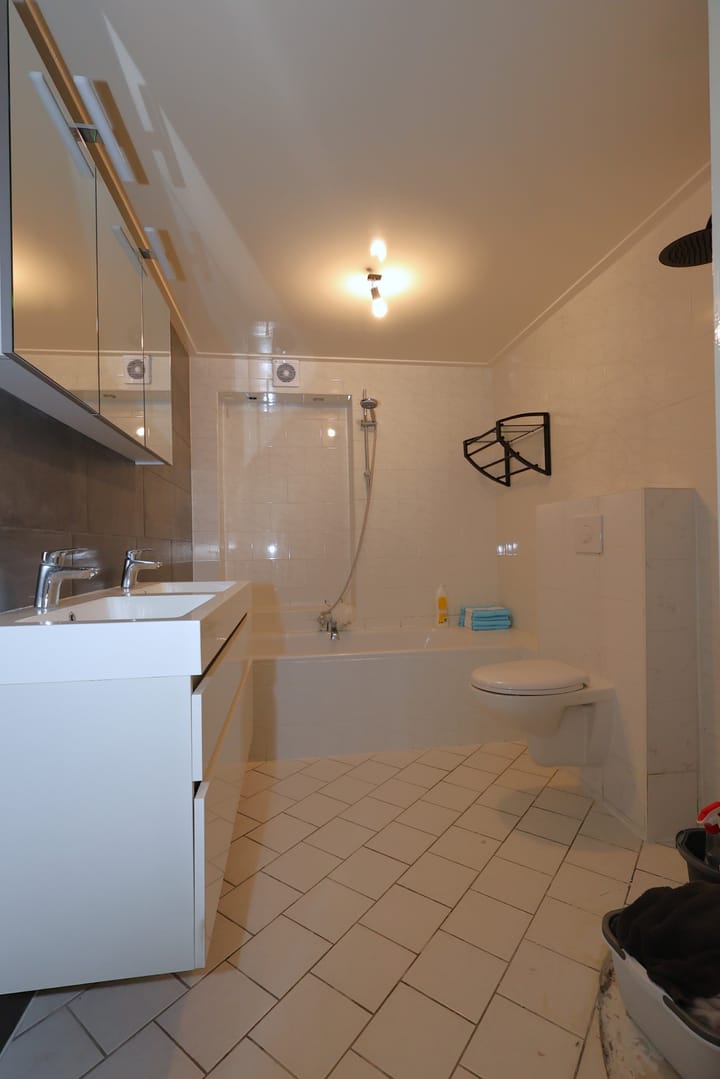 Foto 20 van Gossepalen 60