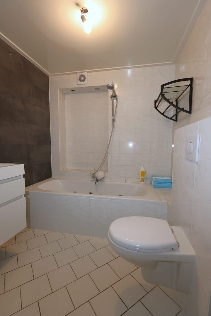 Foto 21 van Gossepalen 60