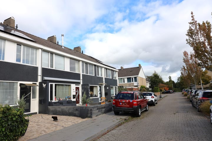 Foto 28 van Gossepalen 60