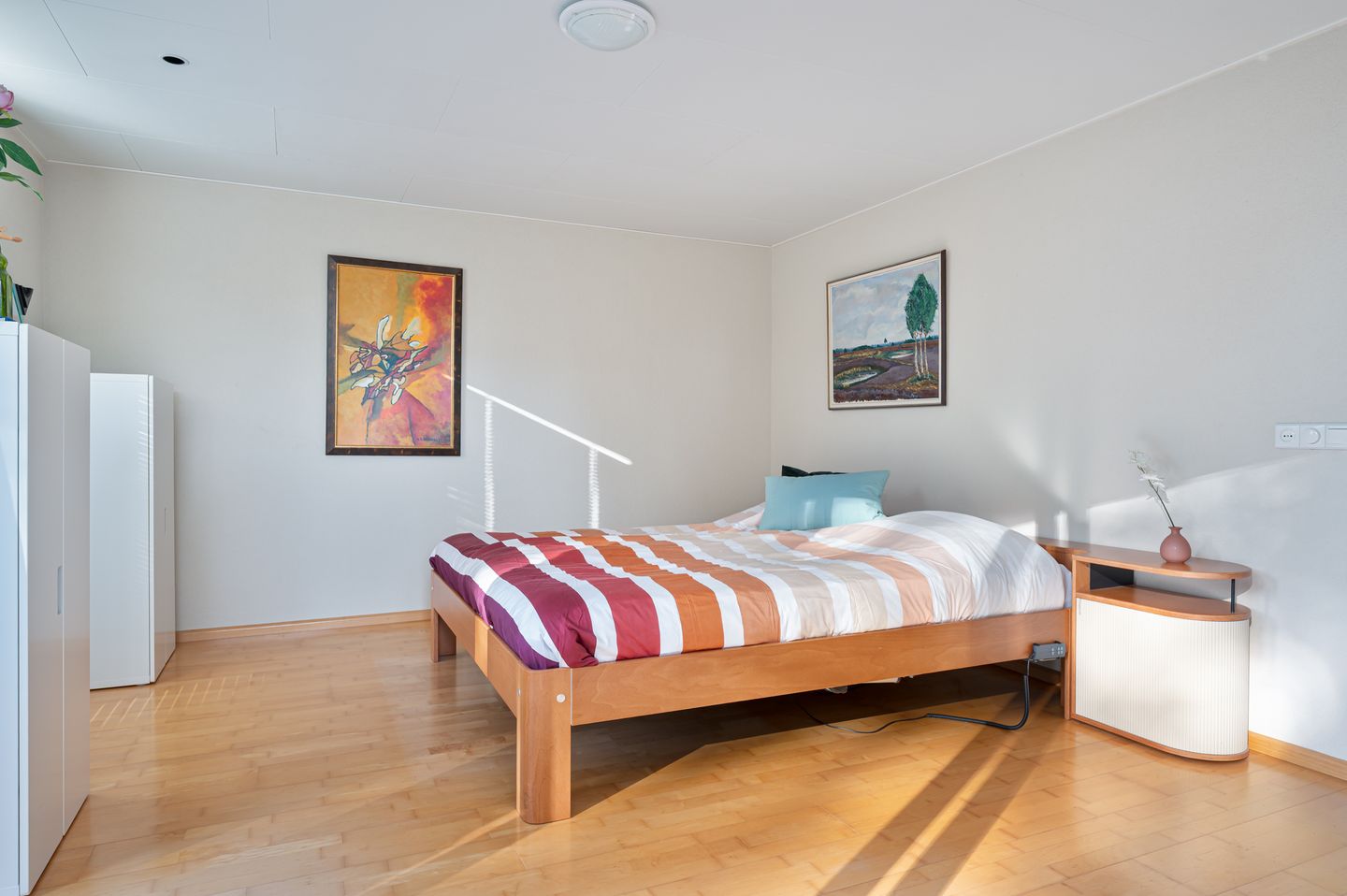 Photo 20 of Oranje-Nassaulaan 229