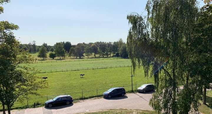 Foto 47 van Elbertsveen 11