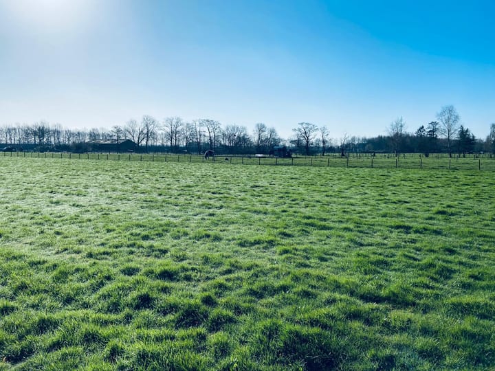 Foto 48 van Elbertsveen 11