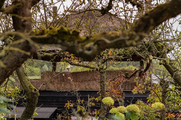 Foto 38 van Waalbandijk 31