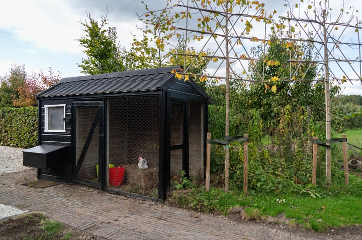 Foto 48 van Waalbandijk 31