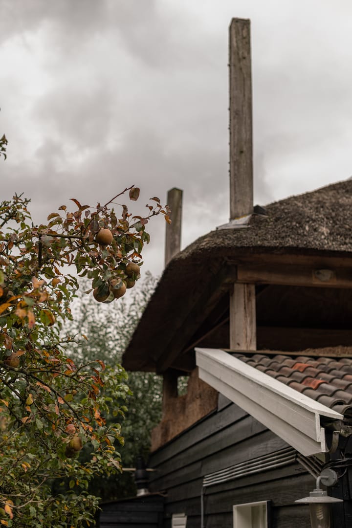 Foto 51 van Waalbandijk 31