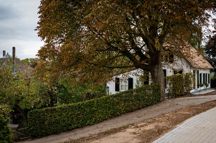 Foto 61 van Waalbandijk 31