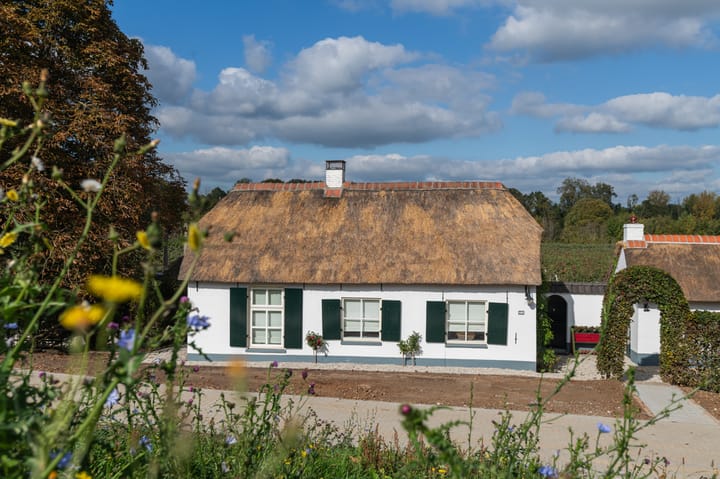 Foto 62 van Waalbandijk 31