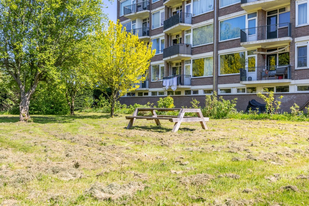 Foto 32 van Zwaanstraat 9