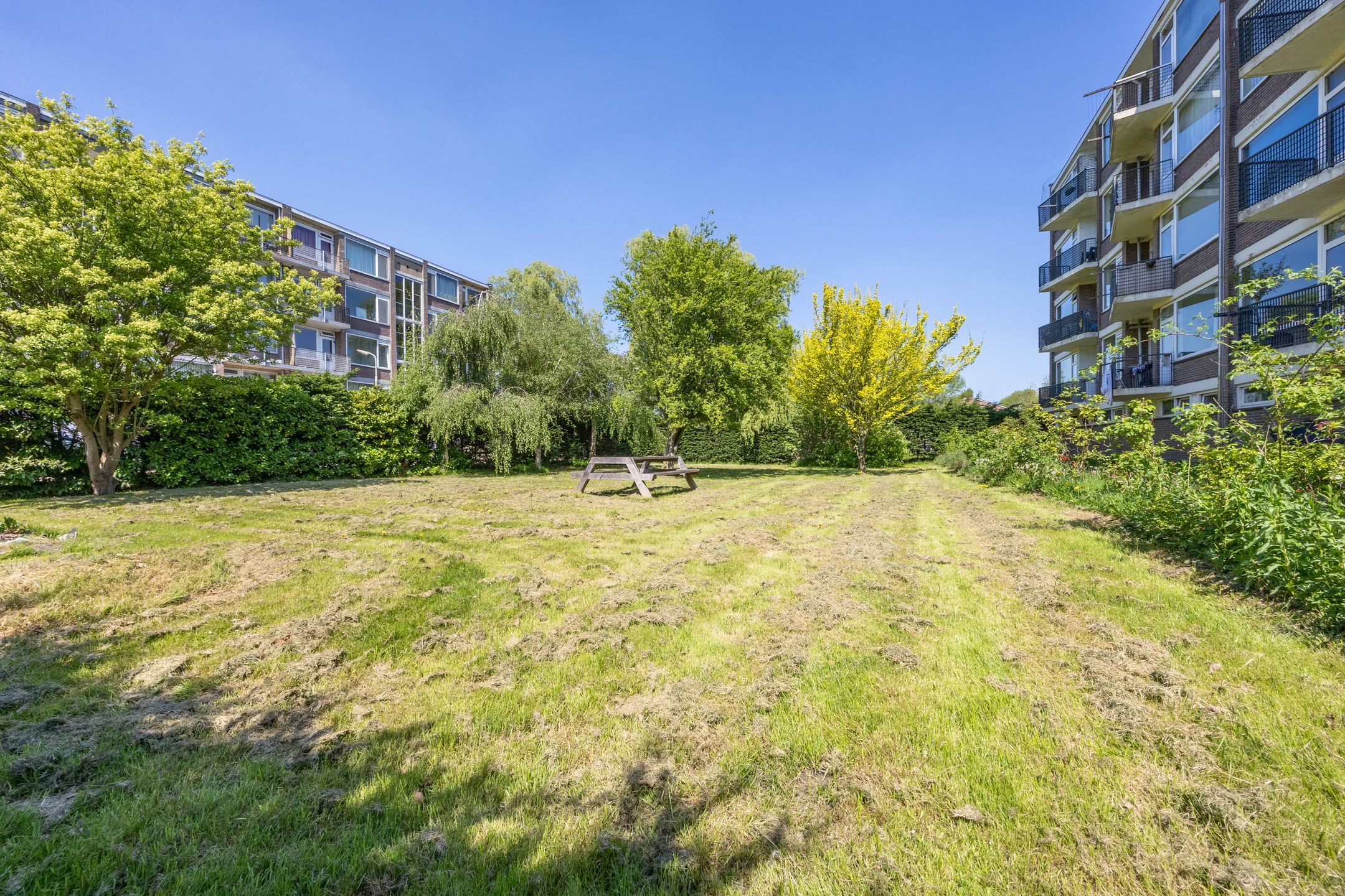 Foto 33 van Zwaanstraat 9