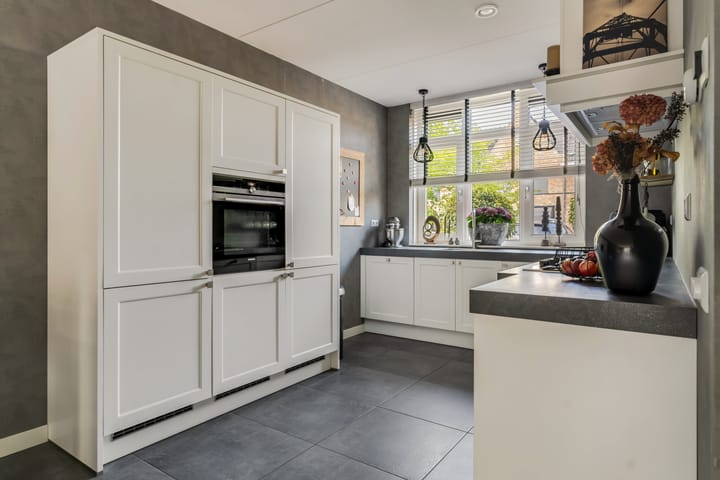 Foto 2 van Aalscholver 31