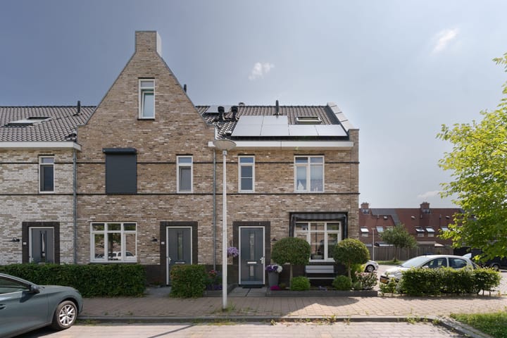 Foto 3 van Aalscholver 31