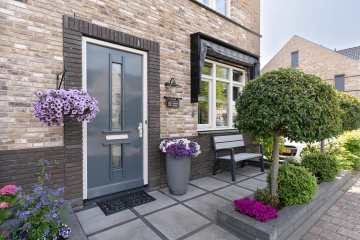 Foto 5 van Aalscholver 31