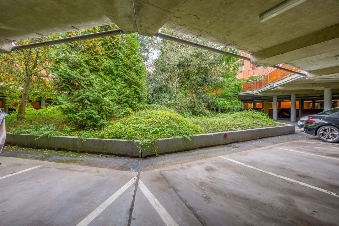 Foto 32 van Holterberg 173