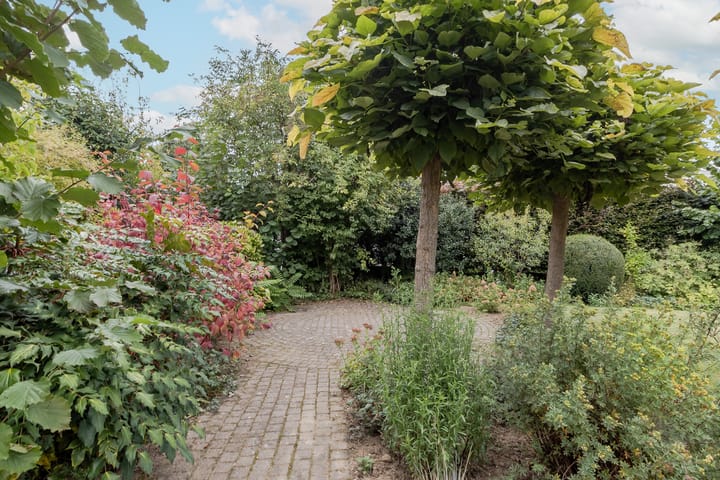 Foto 49 van Kritzraedtstraat 3