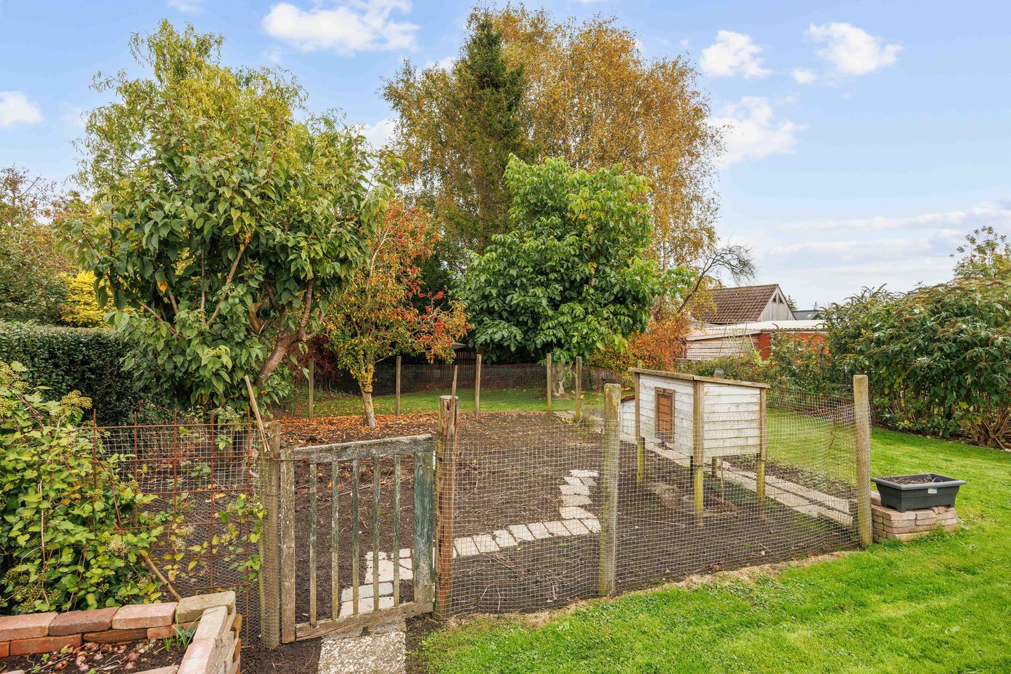 Foto 34 van Nicolaas Grijpstraat 4