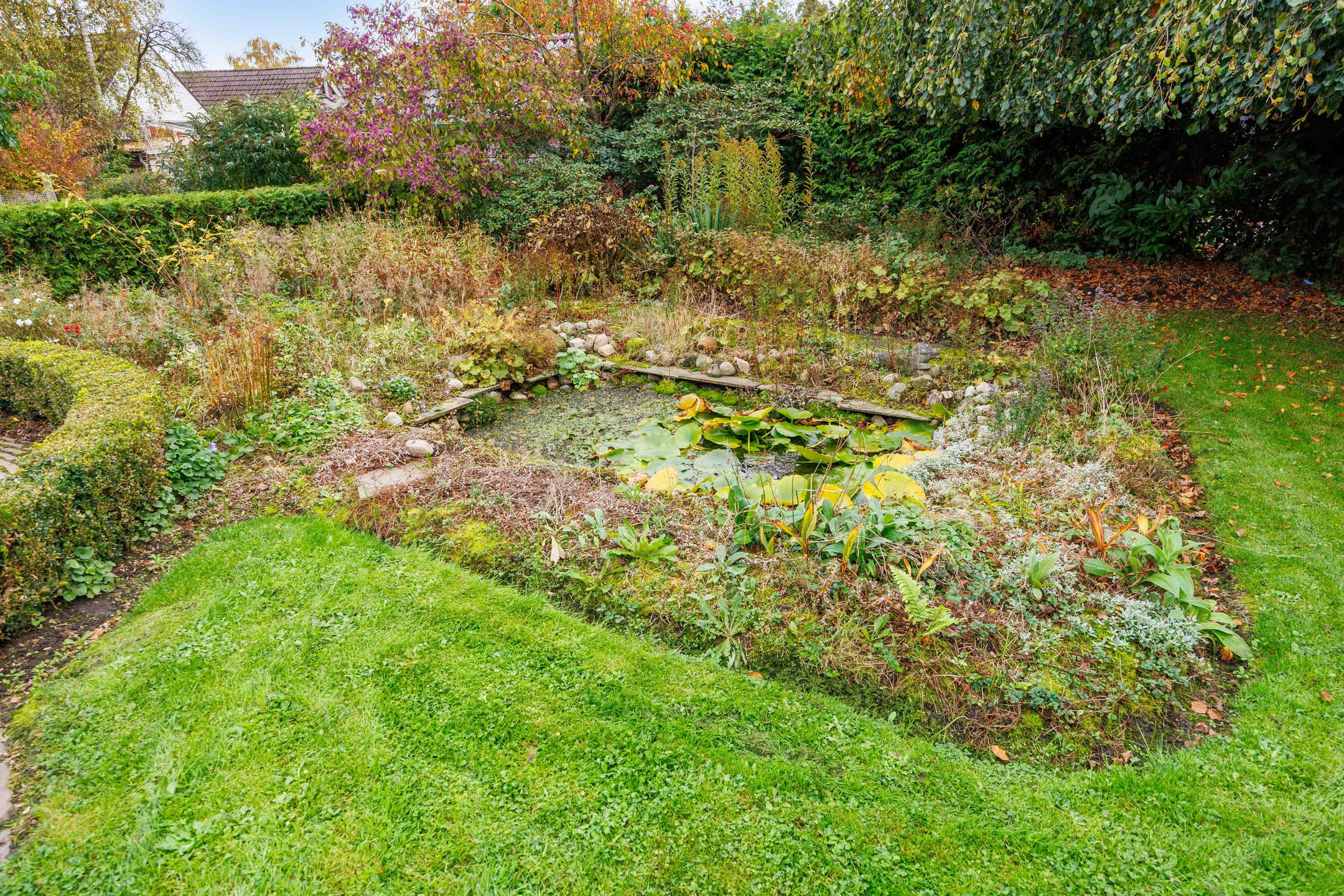 Foto 39 van Nicolaas Grijpstraat 4