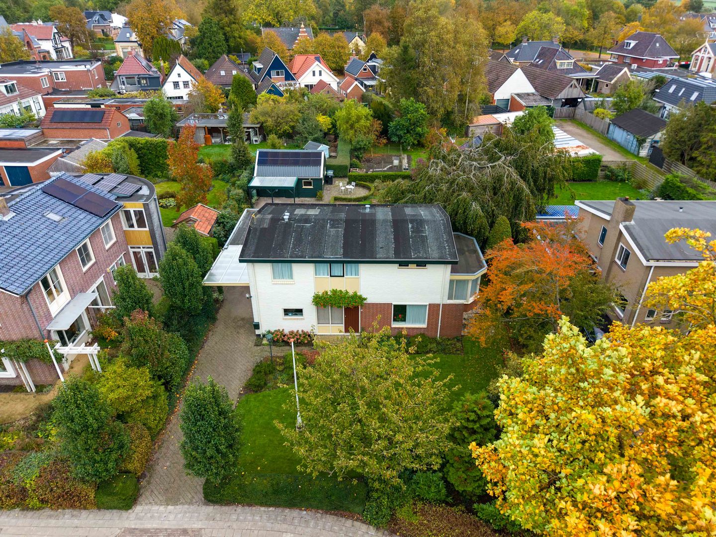 Foto 44 van Nicolaas Grijpstraat 4