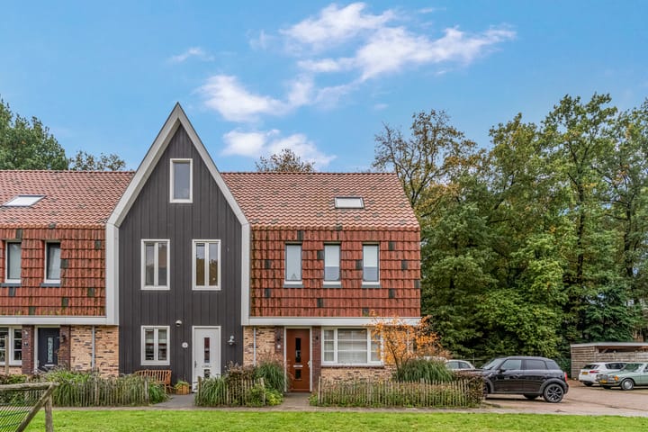 Foto 37 van De Zandhoek 11