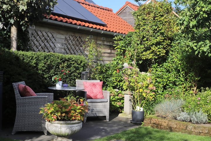 Foto 29 van Distelberg 5