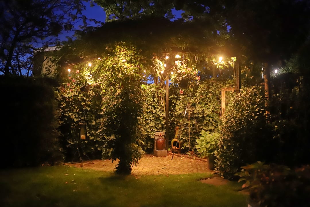 Foto 32 van Distelberg 5