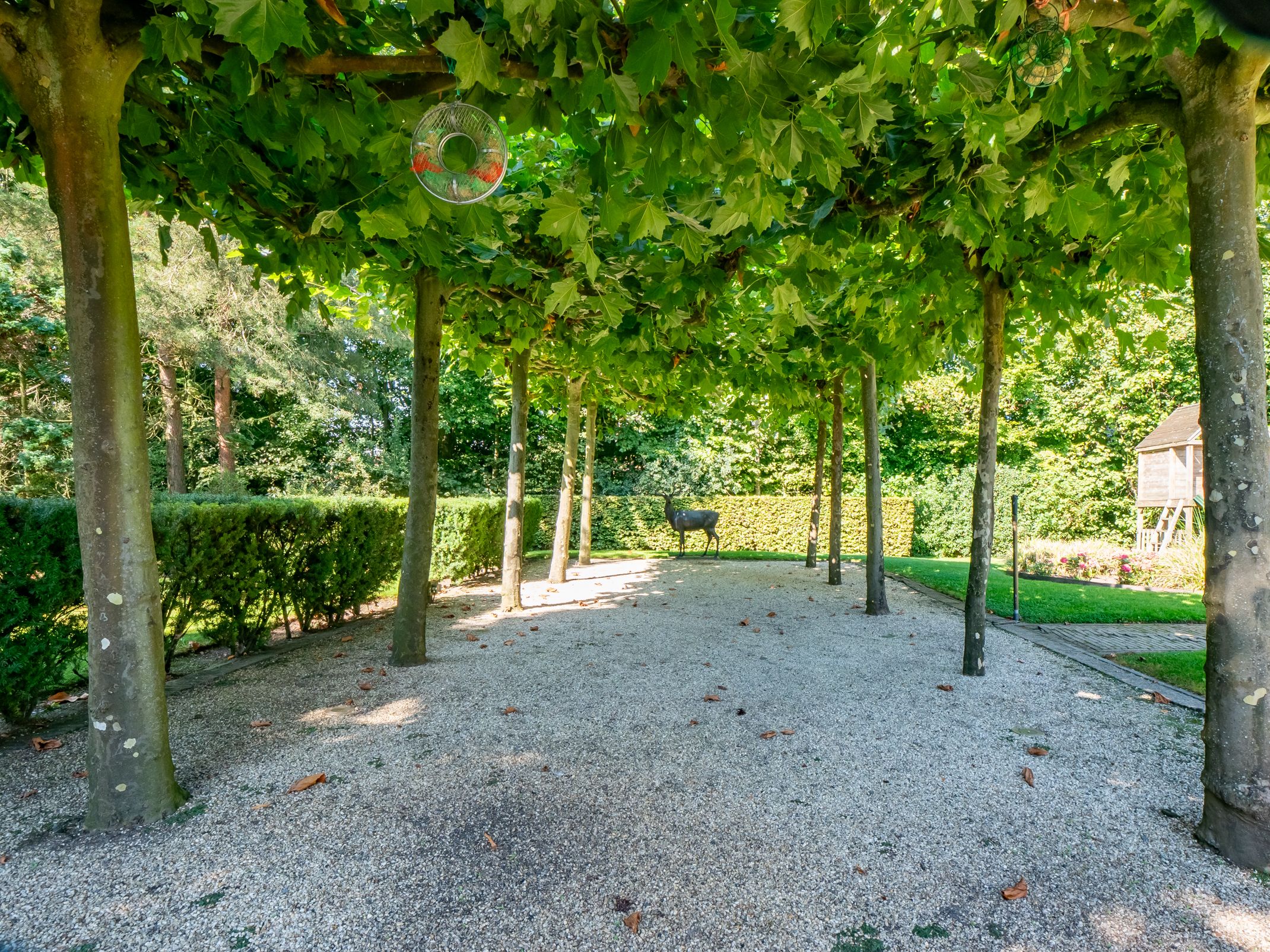 Foto 54 van Voordorpsedijk 67 woonhuis