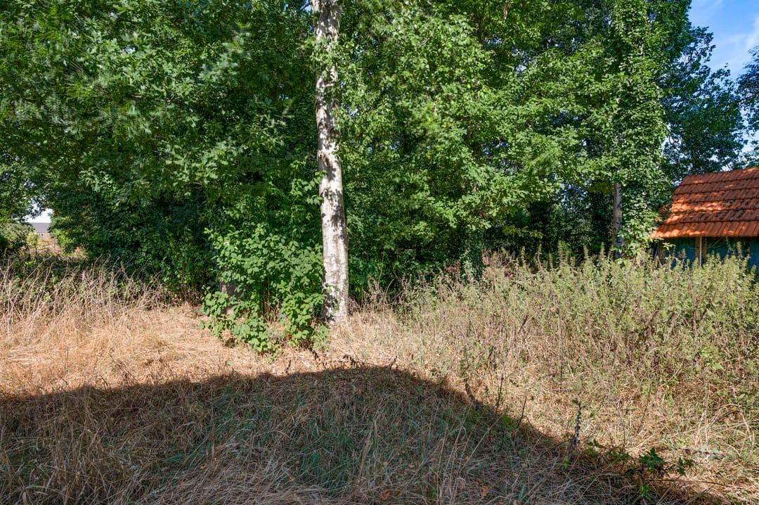 Foto 37 van Liesjeshoek 32