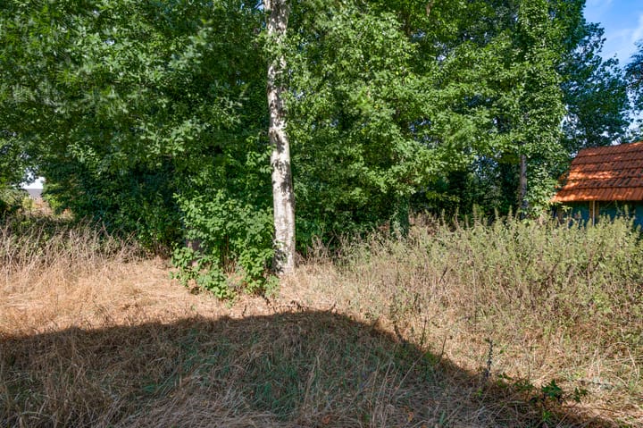 Photo 37 of Liesjeshoek 32