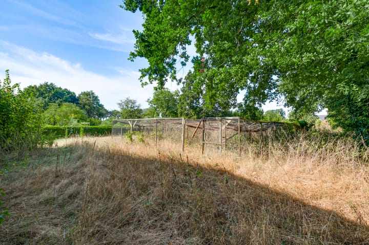 Photo 36 of Liesjeshoek 32