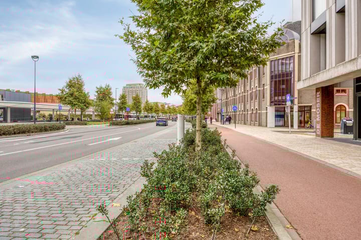 Foto 24 van Spoorlaan 450-18