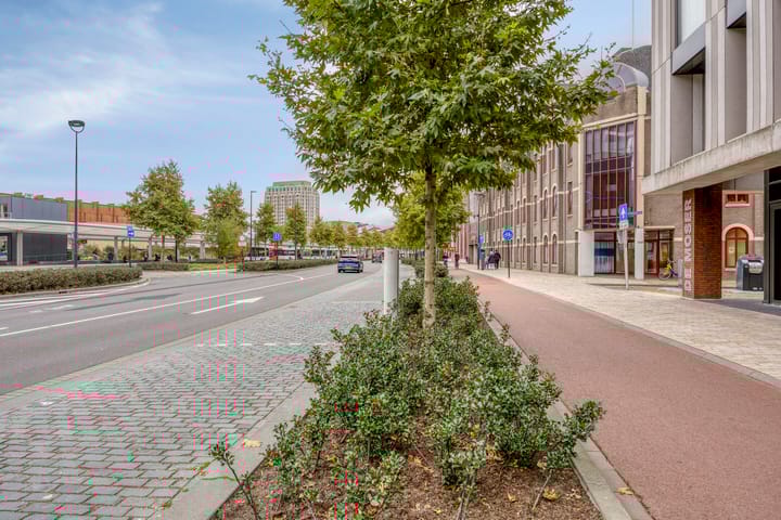 Foto 21 van Spoorlaan 450-16