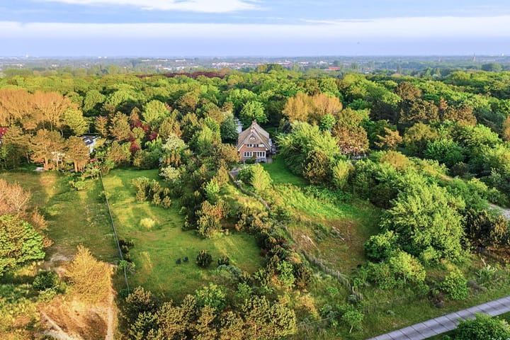 Photo 3 of Van Bergenlaan 1-A