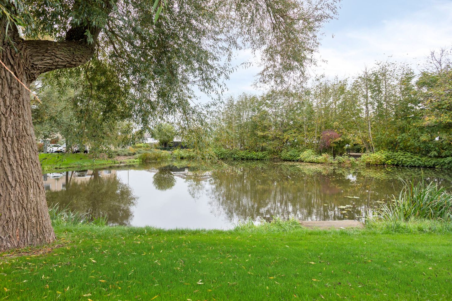 Foto 29 van Jan Bijhouwerstraat 1